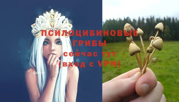 MESCALINE Елабуга
