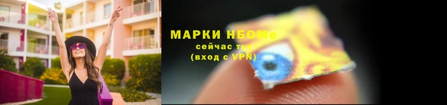 прущая мука Ельня