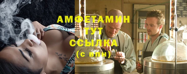 прущая мука Ельня