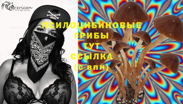 а пвп мука Елизово