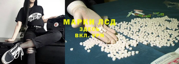 прущая мука Ельня